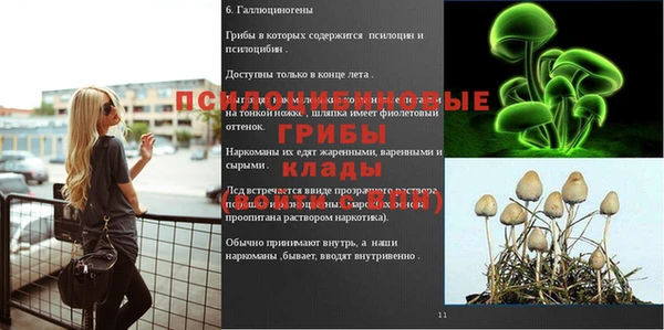 mdpv Арсеньев