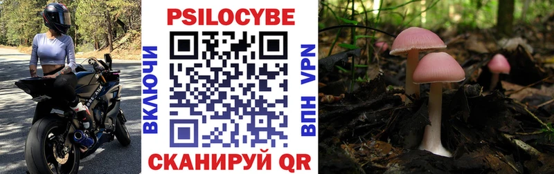 Псилоцибиновые грибы Magic Shrooms  маркетплейс состав  Сафоново 